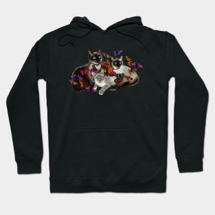 Kitties and Butterflies Hoodie